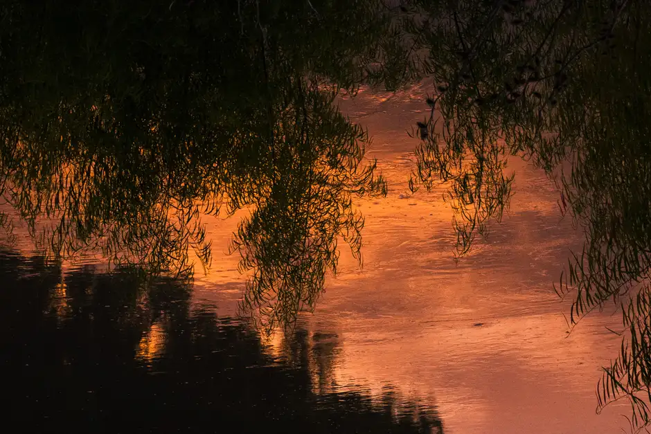 A SUNSET