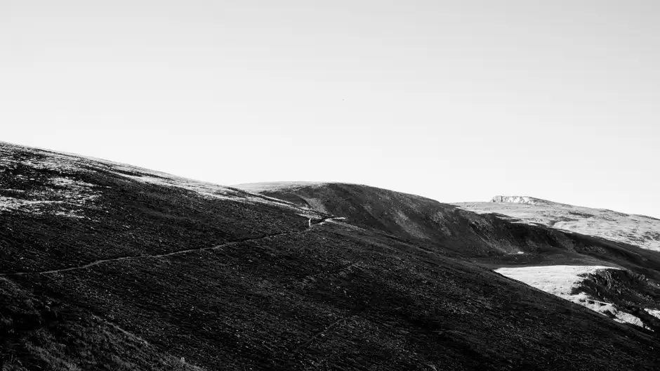 TRAILS