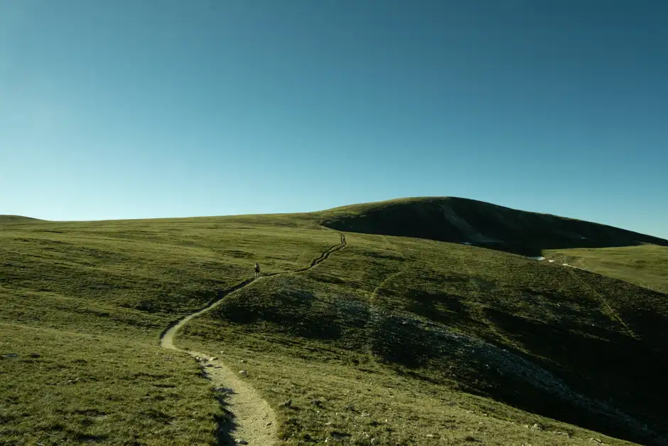 TRAILS
