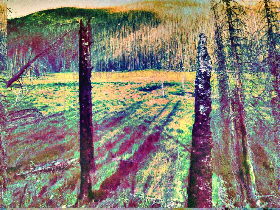 UNTITLED